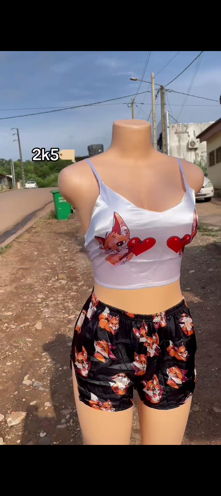 Image supplémentaire 3