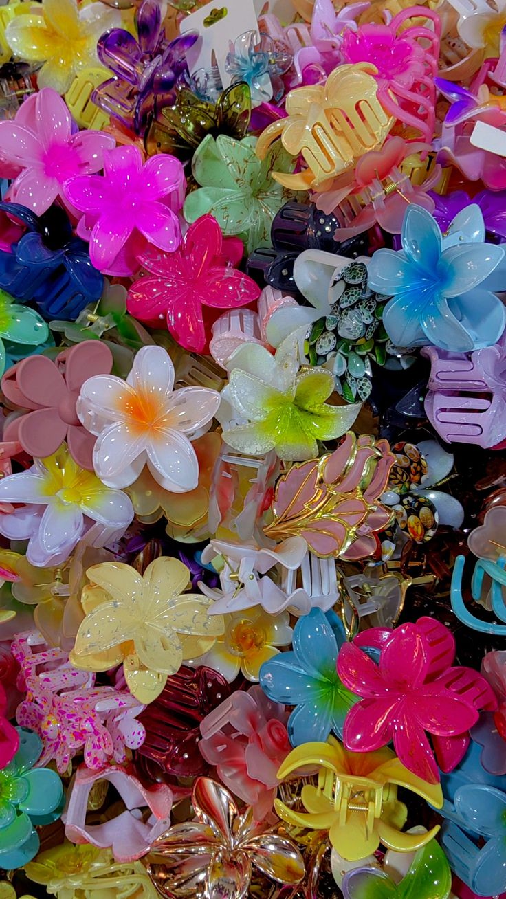 Photo de profil de Masma shp